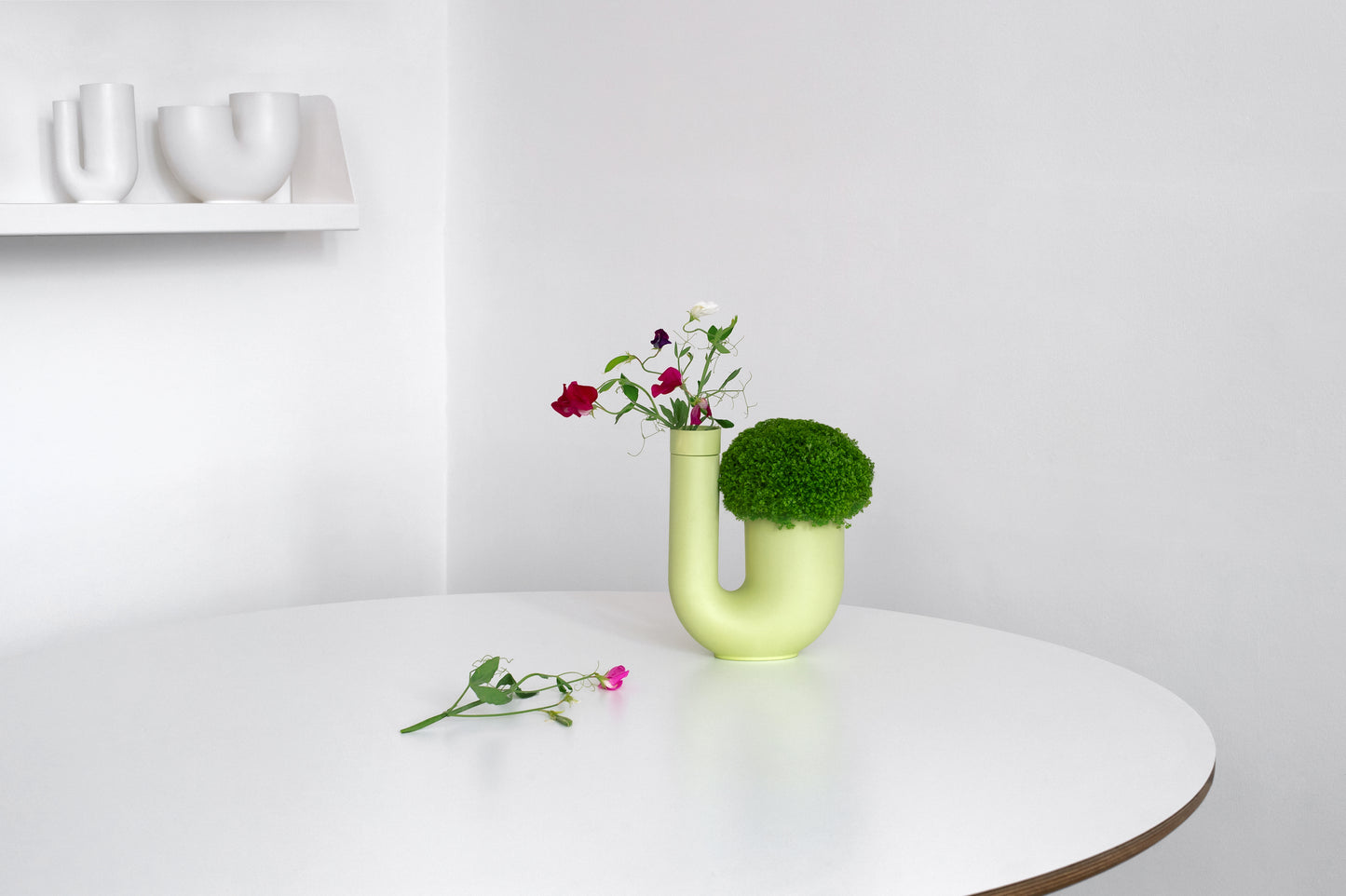 Ha’ / Tuba (M) Planter with Vase / Black