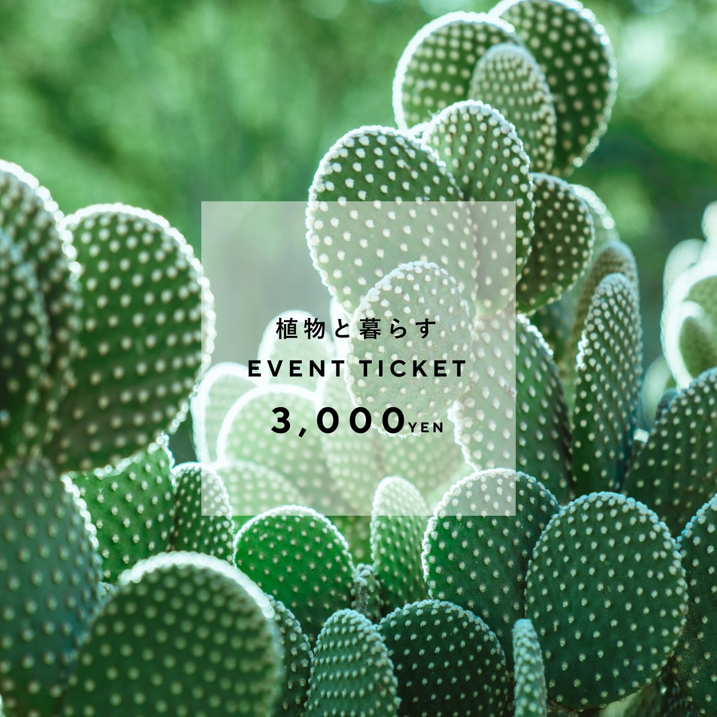 「植物と暮らす」イベント植物引換券