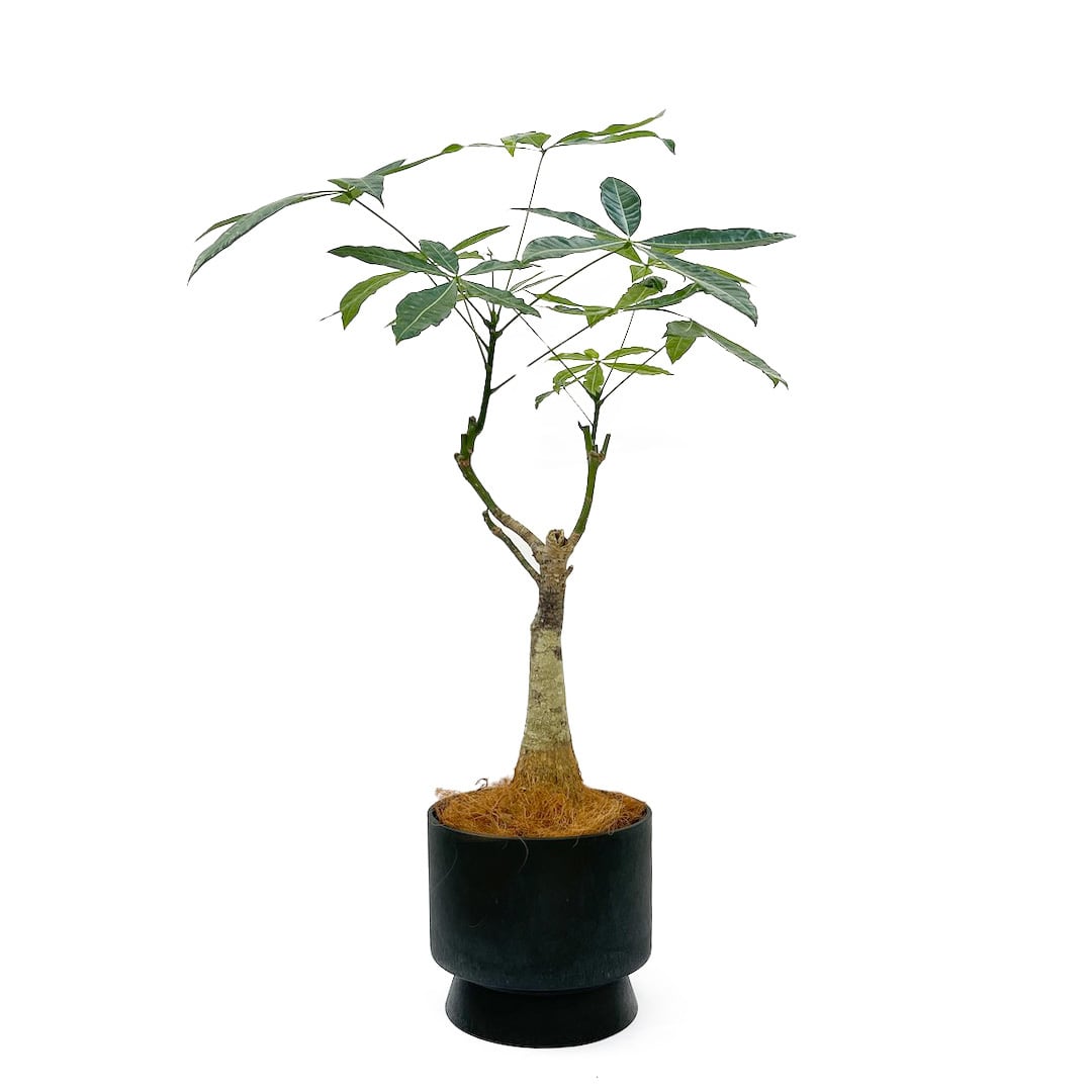 ROSENDAHL COPENHAGEN ・RECYCLED FLOWERPOT / グリーン