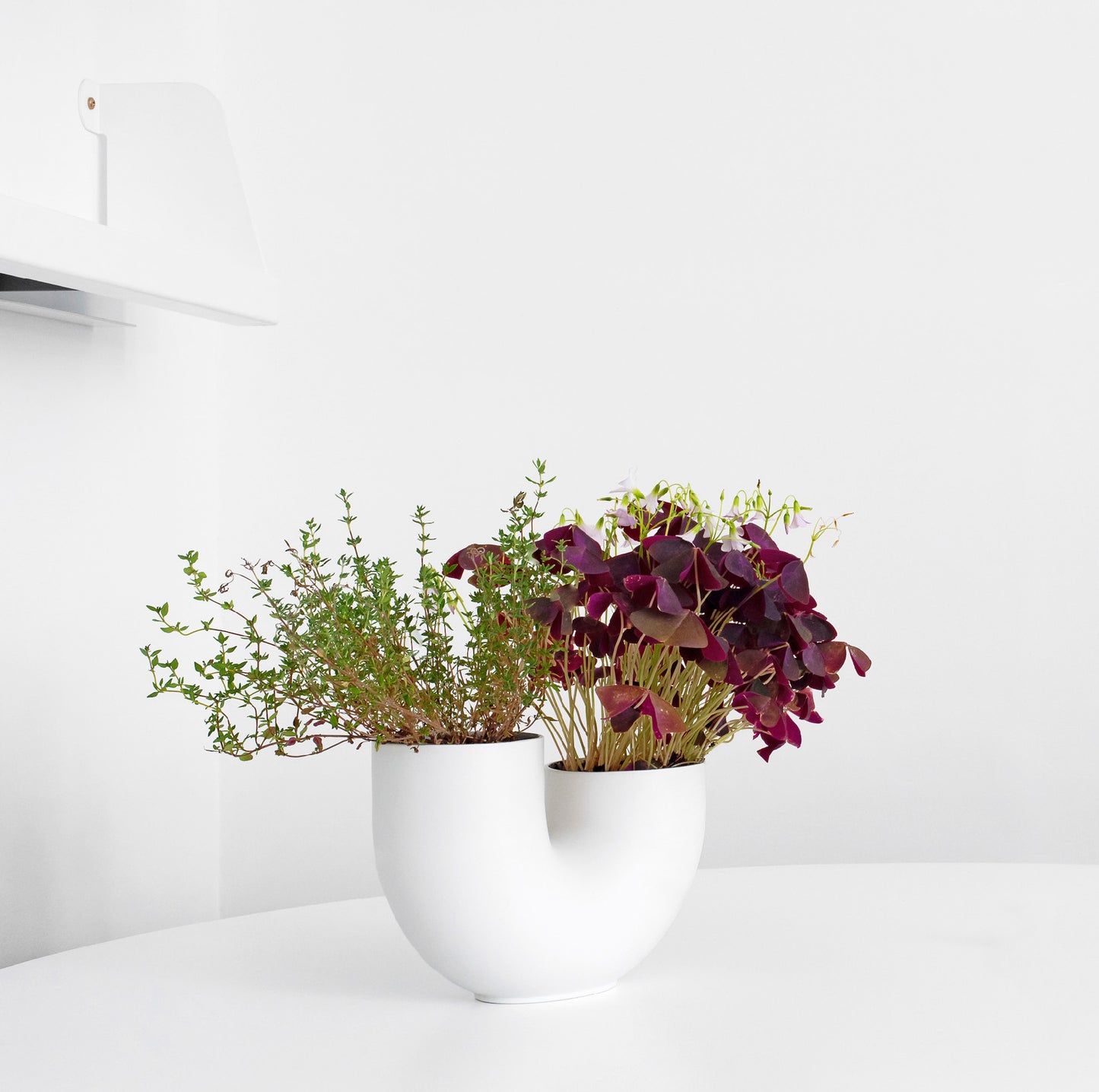 Ha’ / Tuba (M) Planter / White