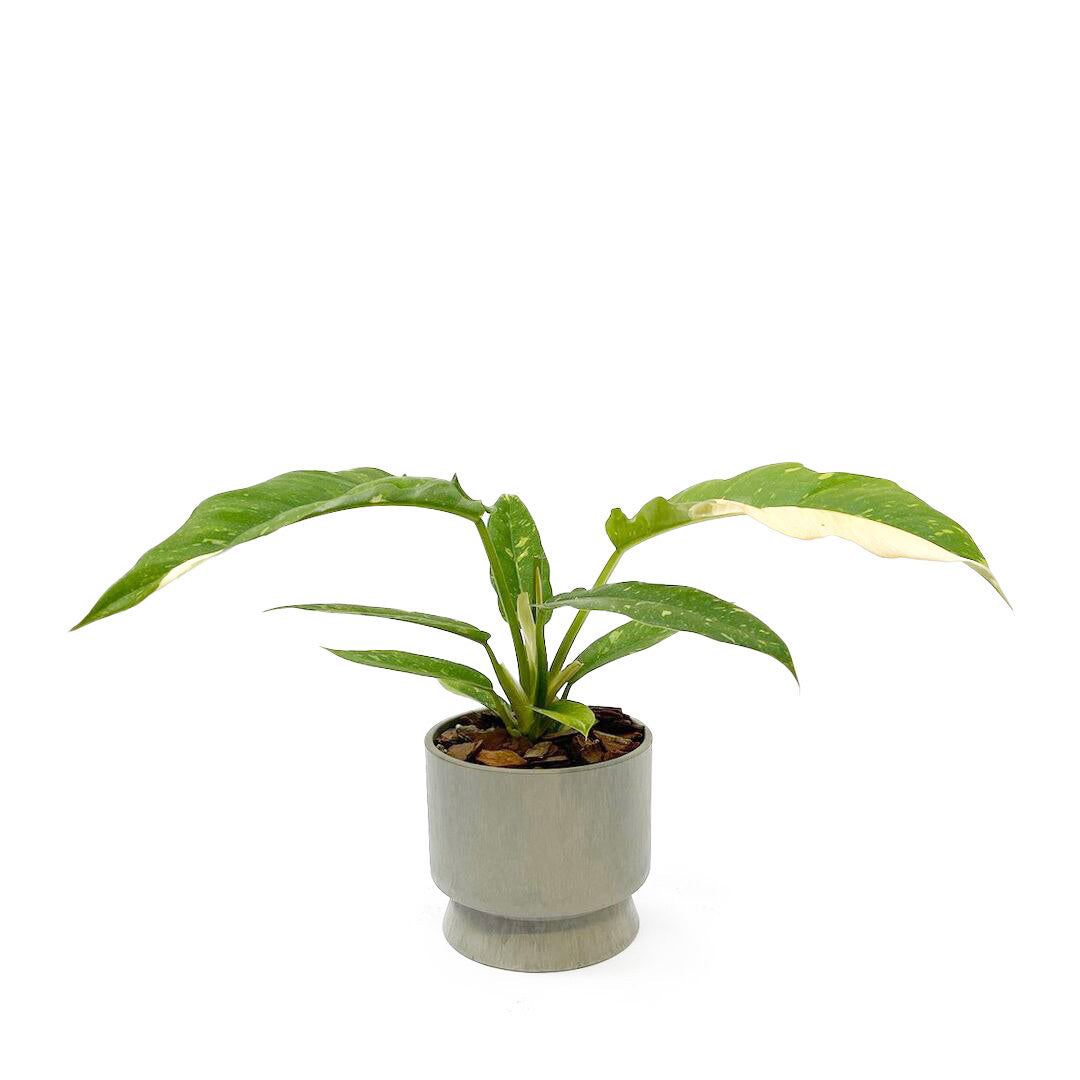 ROSENDAHL COPENHAGEN ・RECYCLED FLOWERPOT / サンド