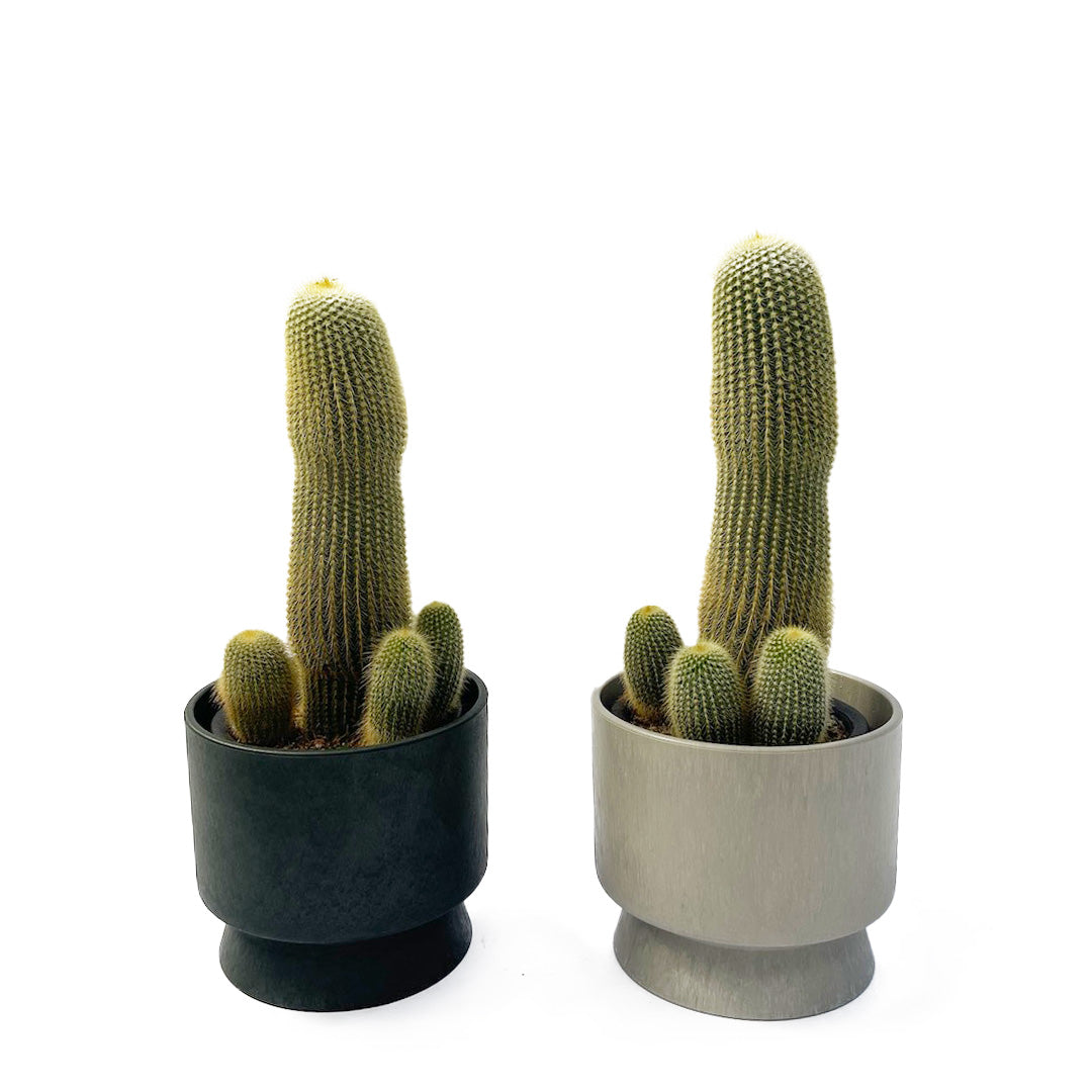 キンコウマル RECYCLED FLOWER POT SET