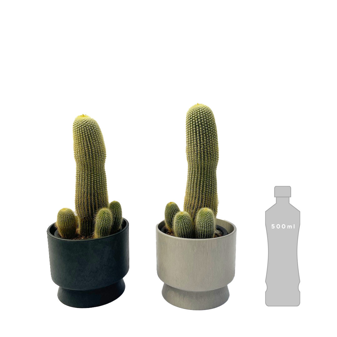 キンコウマル RECYCLED FLOWER POT SET