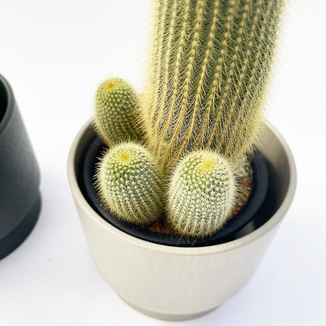 キンコウマル RECYCLED FLOWER POT SET