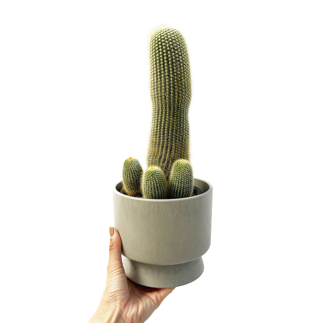 キンコウマル RECYCLED FLOWER POT SET