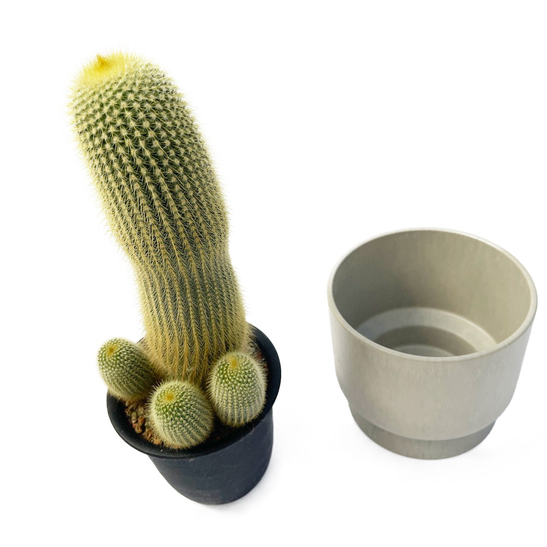 キンコウマル RECYCLED FLOWER POT SET