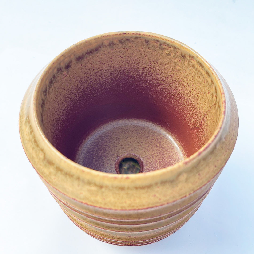 イラボ釉薬 POT