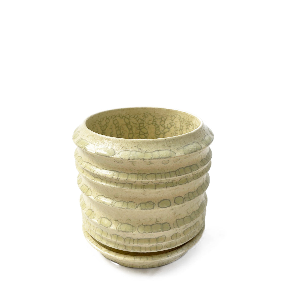 ホワイト POT