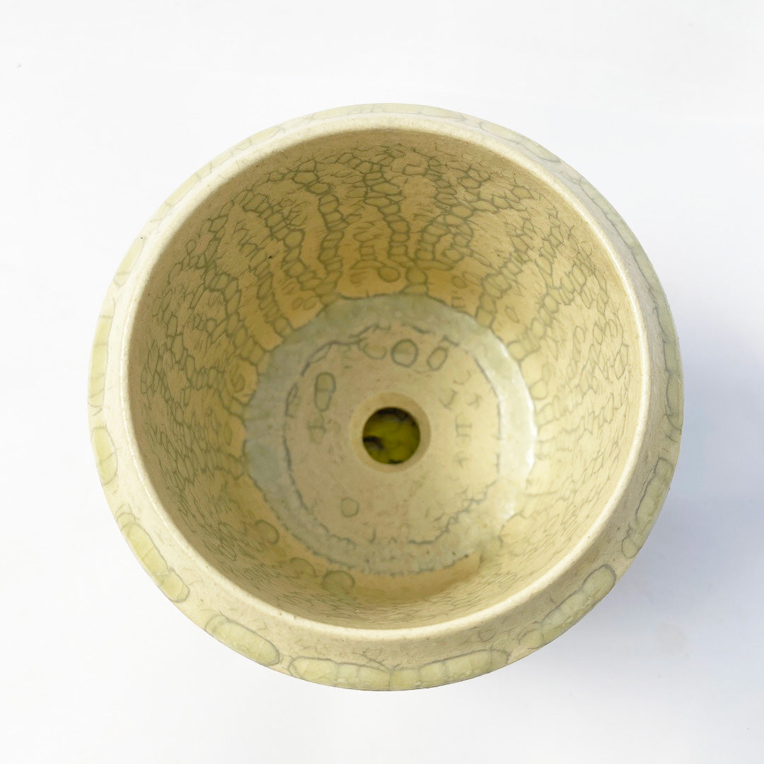 ホワイト POT