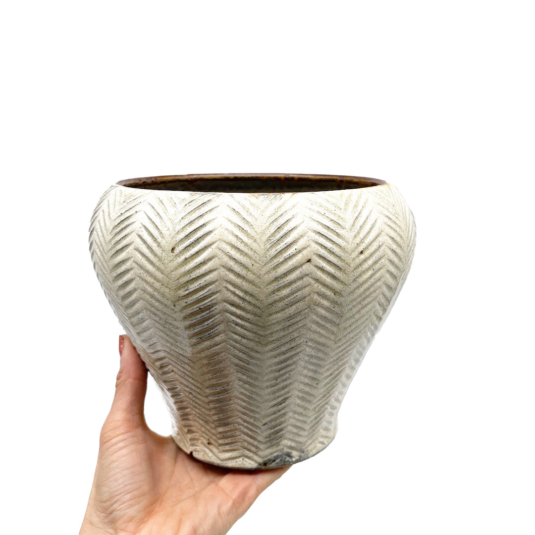 羅以音窯 / 彫り粉引 Type A φ15cm