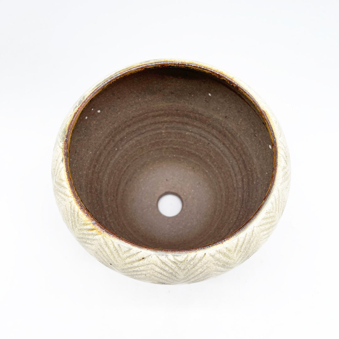 羅以音窯 / 彫り粉引 Type A φ15cm