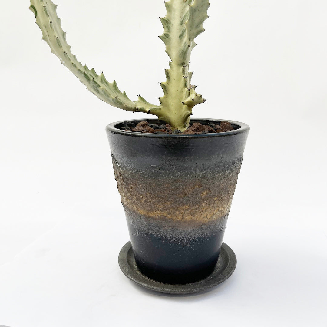 ホワイトゴースト POT SET / bk