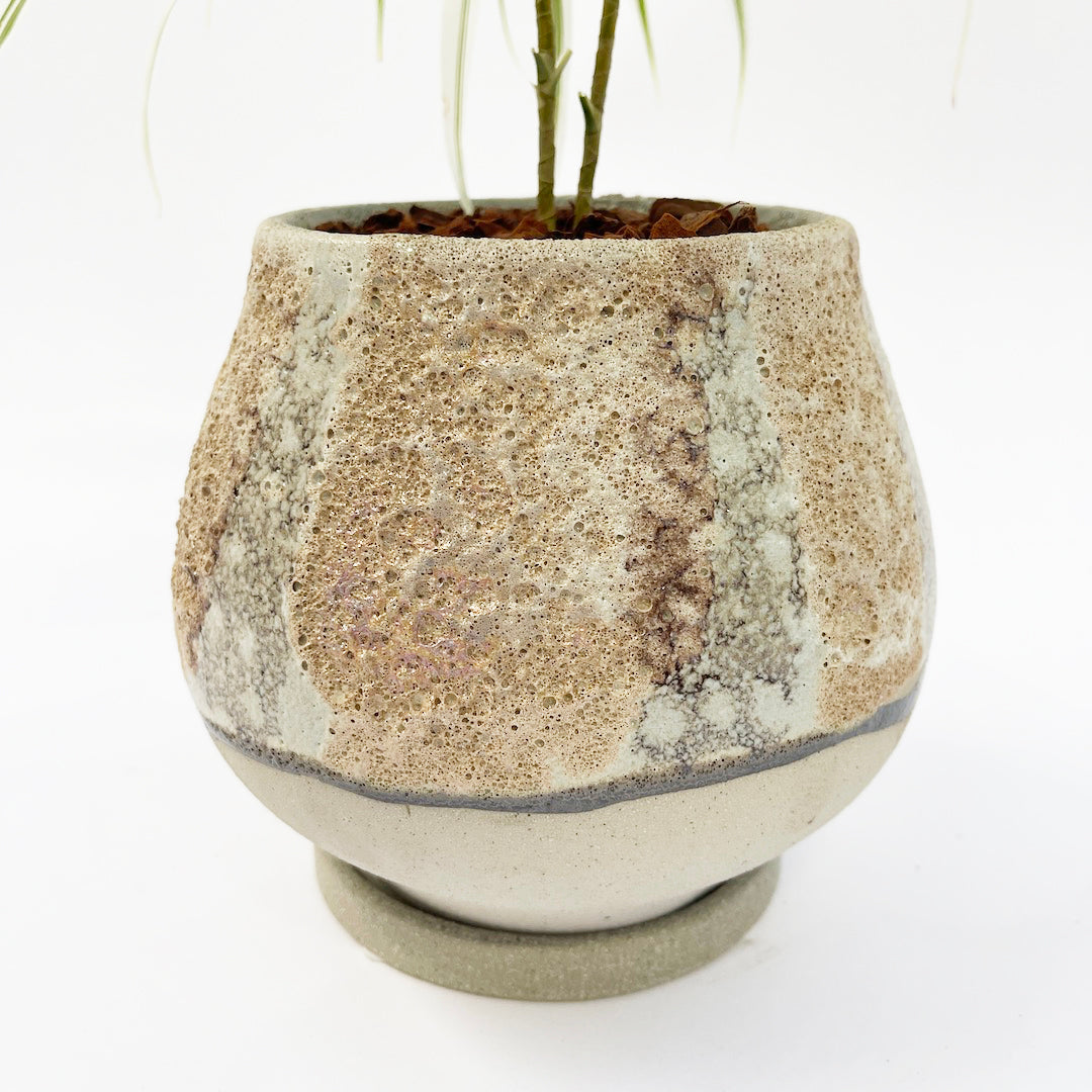 プレオメレ リフレクサ POT SET