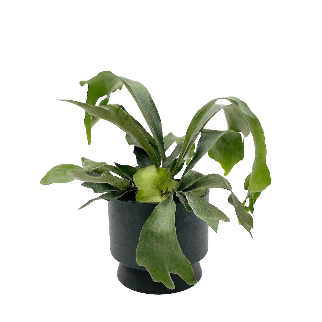 ROSENDAHL COPENHAGEN ・RECYCLED FLOWERPOT / グリーン